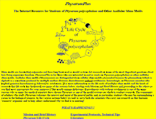 Tablet Screenshot of physarumplus.org